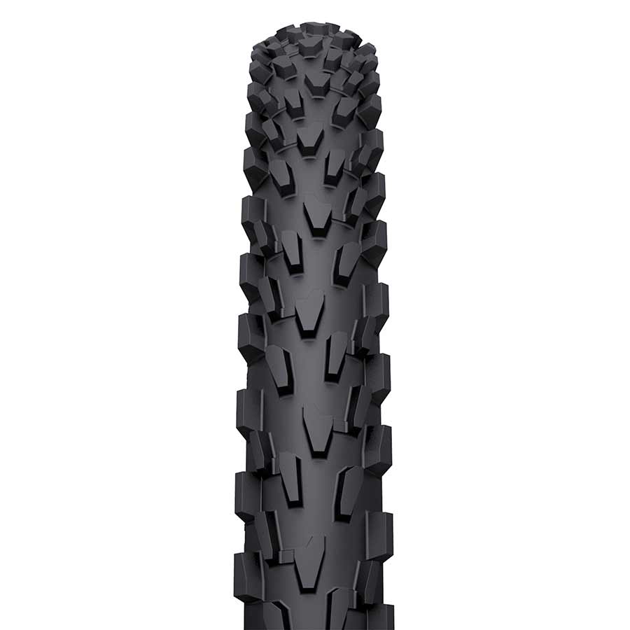 WTB Velociraptor Comp tire