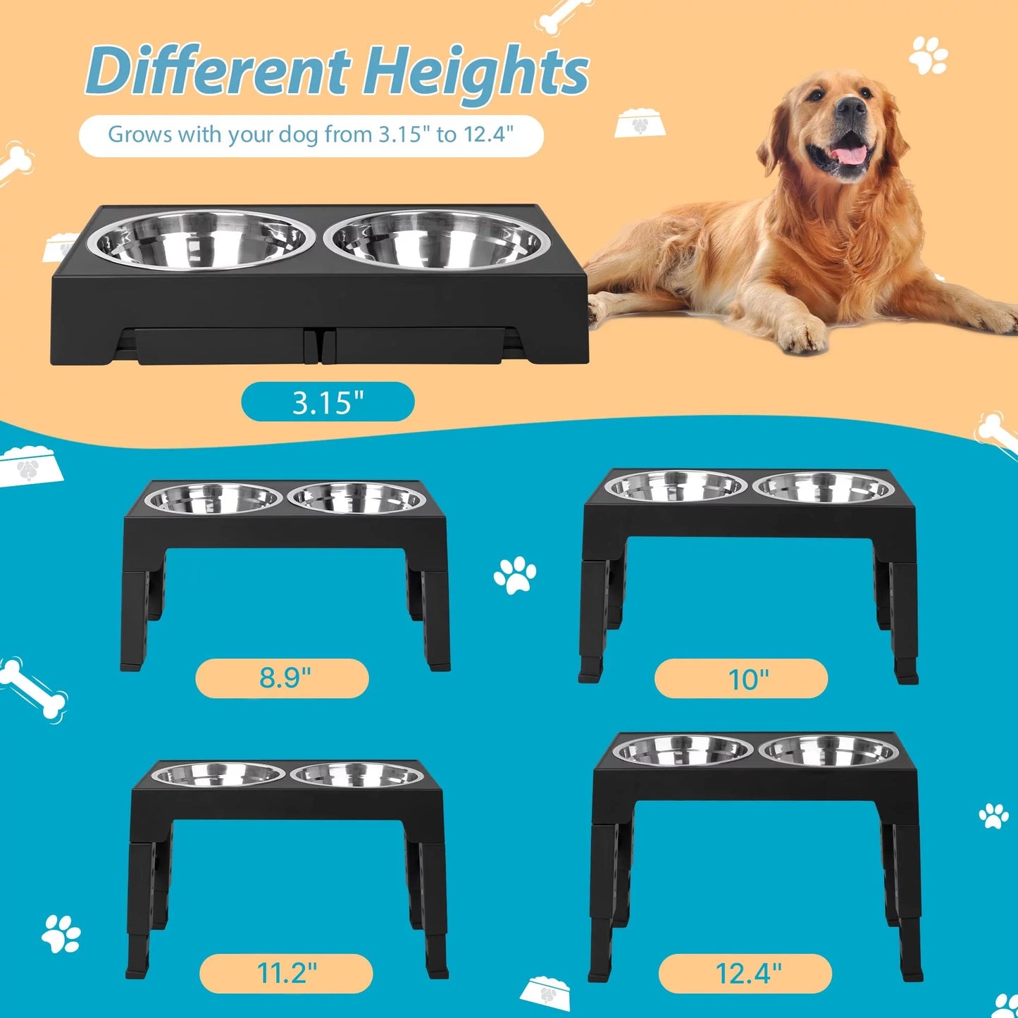 Top 10 Elevated Dog Bowl Stands with Stainless Steel Dishes