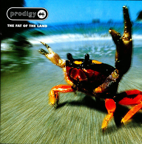 Prodigy - Fat Of The Land - Vinyl Record