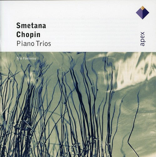 Smetana / Trio Fontenay - Piano Trio Op 8 - Music CD