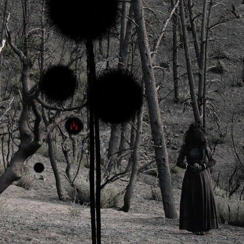 Isis - Not In Rivers But In Drops - Music CD Single