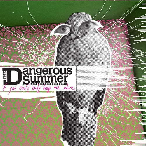 The Dangerous Summer - If You Could Only Keep Me Alive Music CD