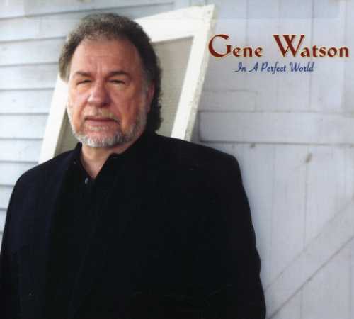 Watson,gene - In A Perfect World - Music CD