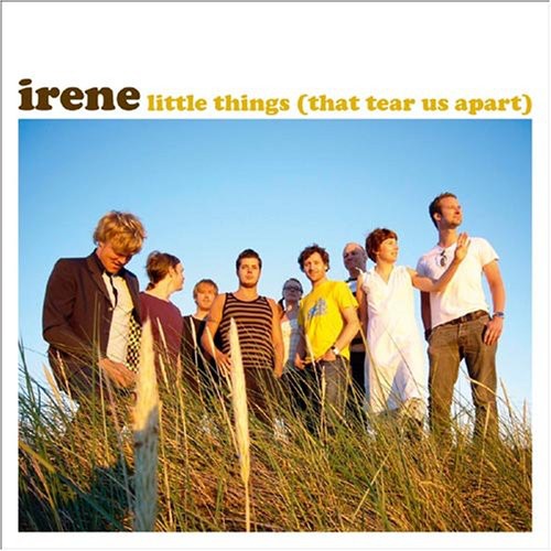 Irene - Little Things That Tear Us Apart - Music CD