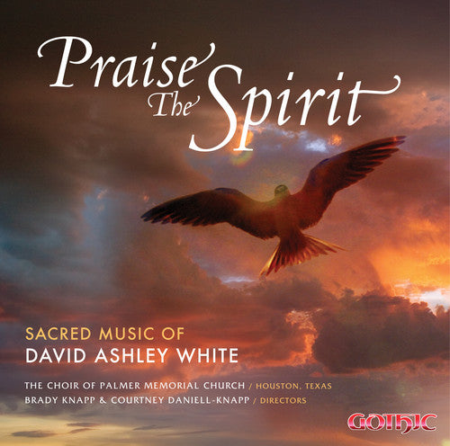 White,david Ashley - Praise The Spirit - Music CD