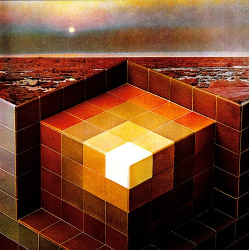 Black Mountain - In The Future - Vinyl Record