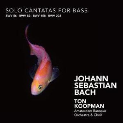 Amsterdam Baroque Choir - Solo Cantatas for Bass Music CD