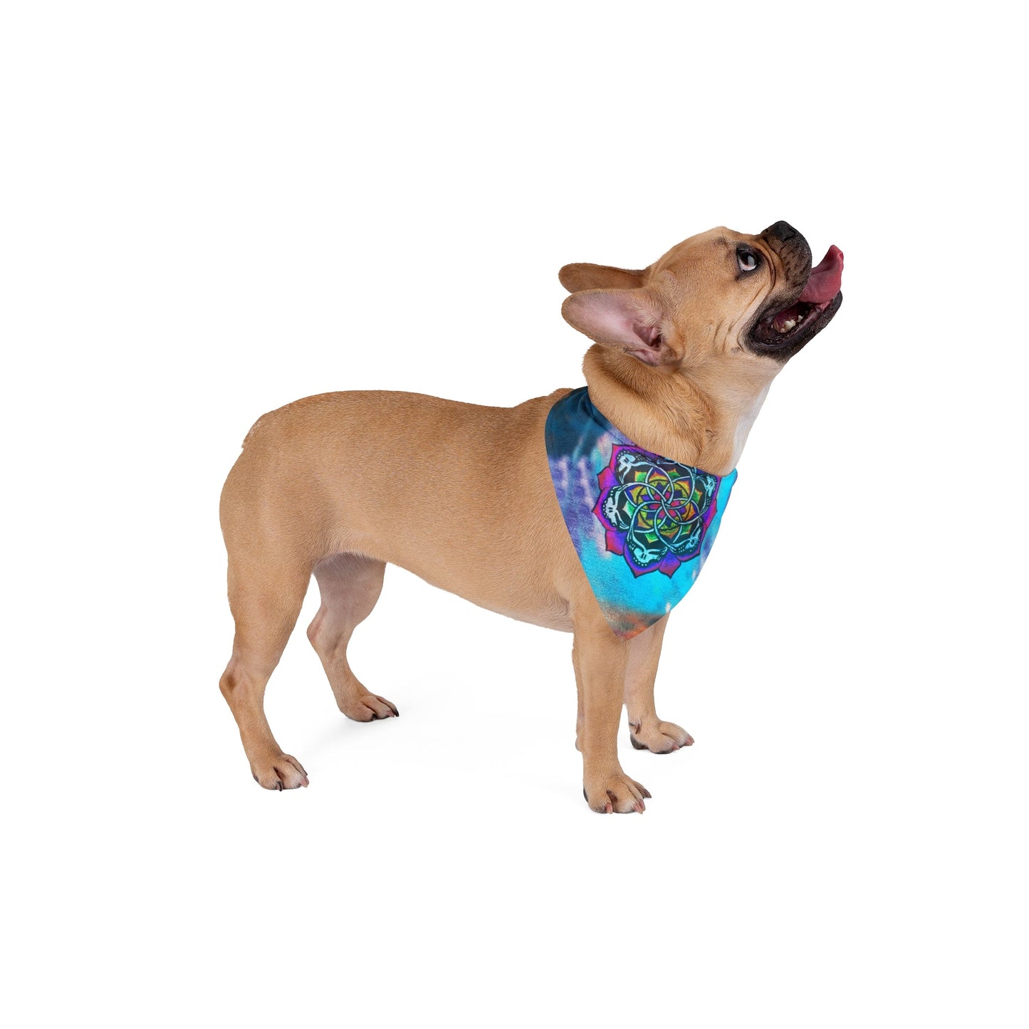 Dead Mandala Pet Bandana