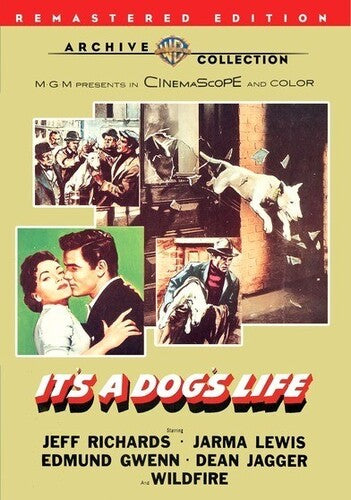 It's A Dog's Life - It's A Dog's Life - DVD