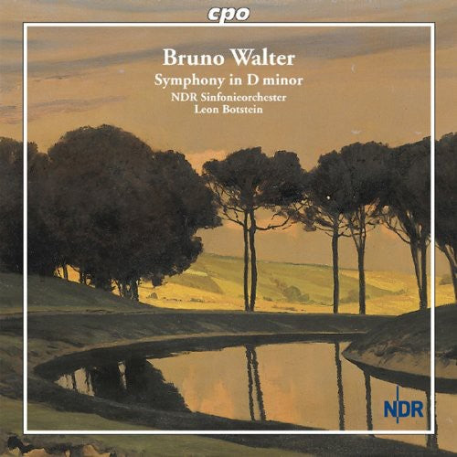 Walter / Ndr Sinfonieorchester / Botstein - Symphony In D Minor - Music CD