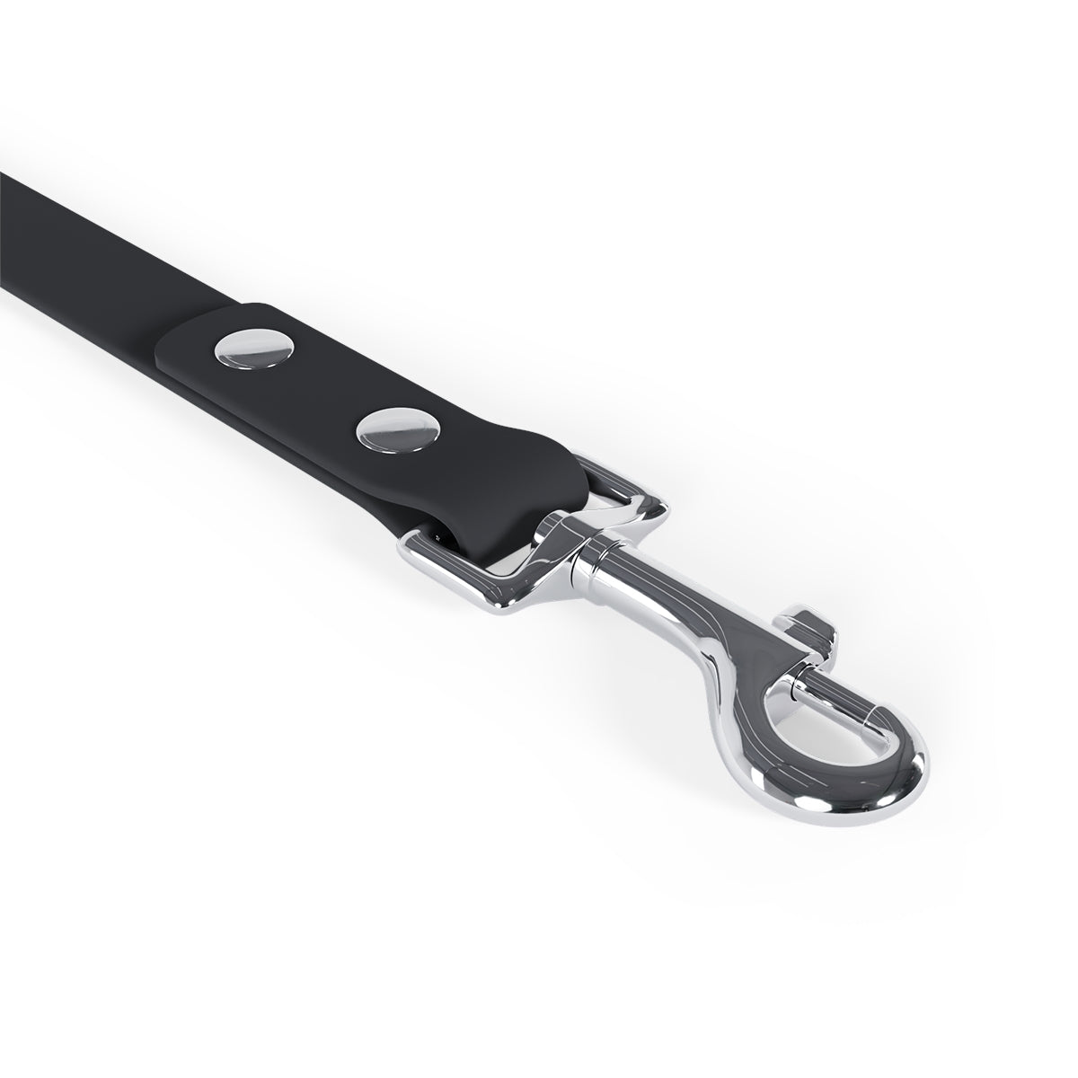 Rad Palm Pineapple Express Dog Leash
