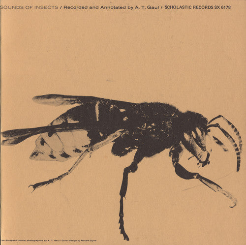 Sounds Of Insects / Various - Sounds Of Insects / Various - Music CD