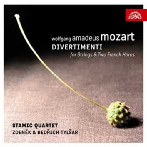 Mozart / Matousek / Peruska / Leizner - Divertimento For Strings & Two French Horns - Music CD