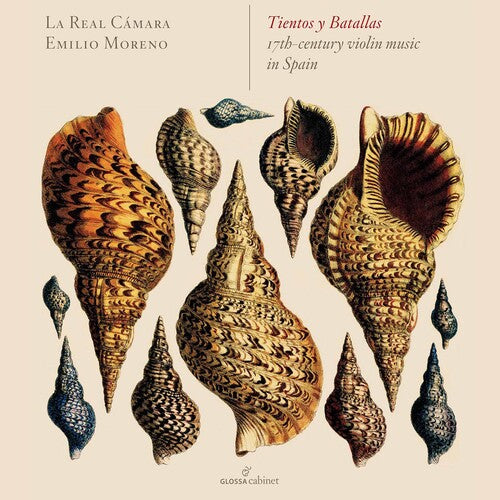 Falconieri,andrea / De Victoria / Bovicelli - 17th Century Violin Music In Spain - Music CD