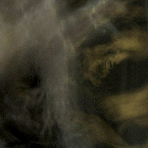 Pixyblink & Rhea Tucanae - Fungi from Music CD