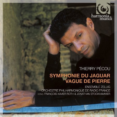 Pecou / Ensemble Zillog / Stockhammer - Symphonie Du Jaguar / Vague De Pierre - Music CD