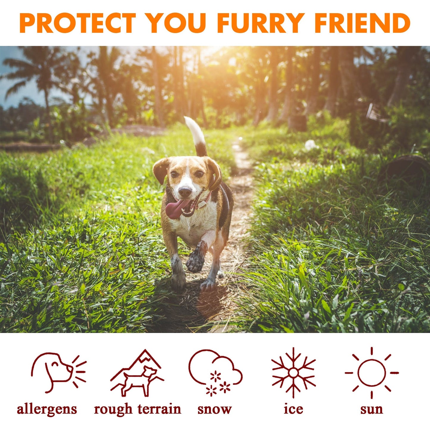 Pet Paw Care Protection Cream