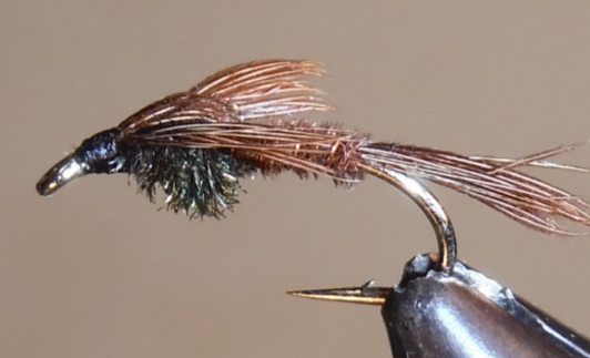 Pheasant Tail