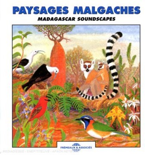 Roche / Sounds Of Nature - Madagascar Soundscapes - Music CD