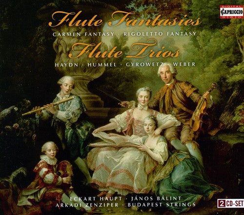 Haydn / Haupt / Teutsch / Budapest Strings - Flute Fantasies / Flute Trios - Music CD
