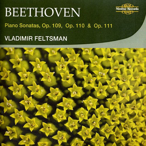 Beethoven / Feltsman - Piano Sonatas Op 109 110 111 - Music CD