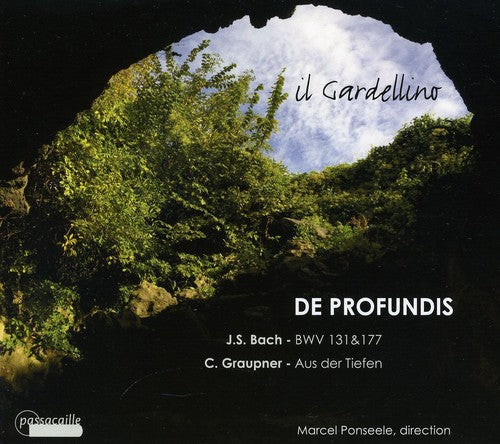 Bach,j.s. / Il Gardellino - De Profundis - Music CD