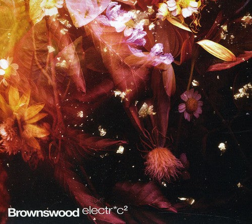 Brownswood Electric 2 / Various - Brownswood Electric 2 / Various - Music CD