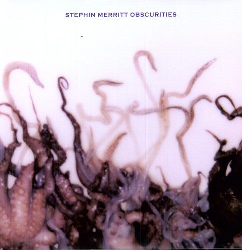 Merritt,stephin - Obscurities - Vinyl Record