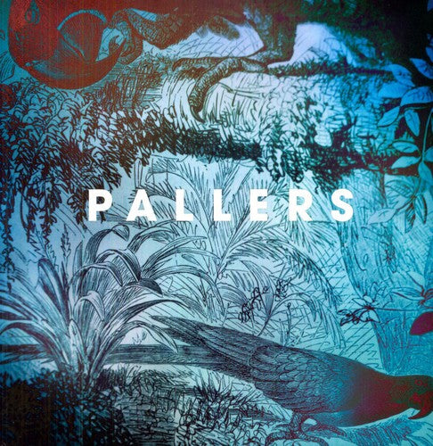 Pallers - Sea Of Memories - Vinyl Record
