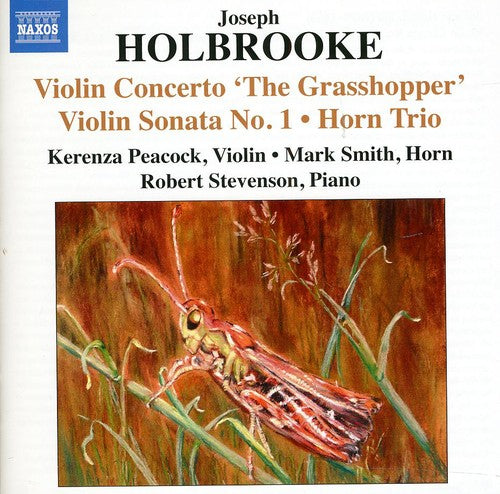 Holbrooke / Peacock / Smith / Stevenson - Violin Sonatas 1 & 2 / Horn Trio / Mezzo-tints 2 - Music CD