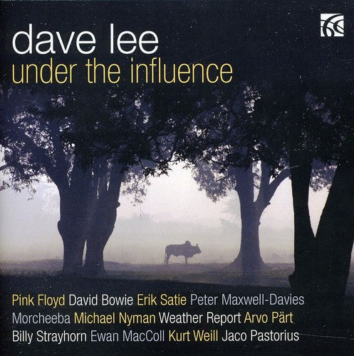 Lee,david / Maccoll / Nyman / Satie - Under The Influence - Music CD