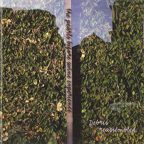 Strindberg / Debris Reassembled / Hedelin - Pearls Before Swine - Music CD