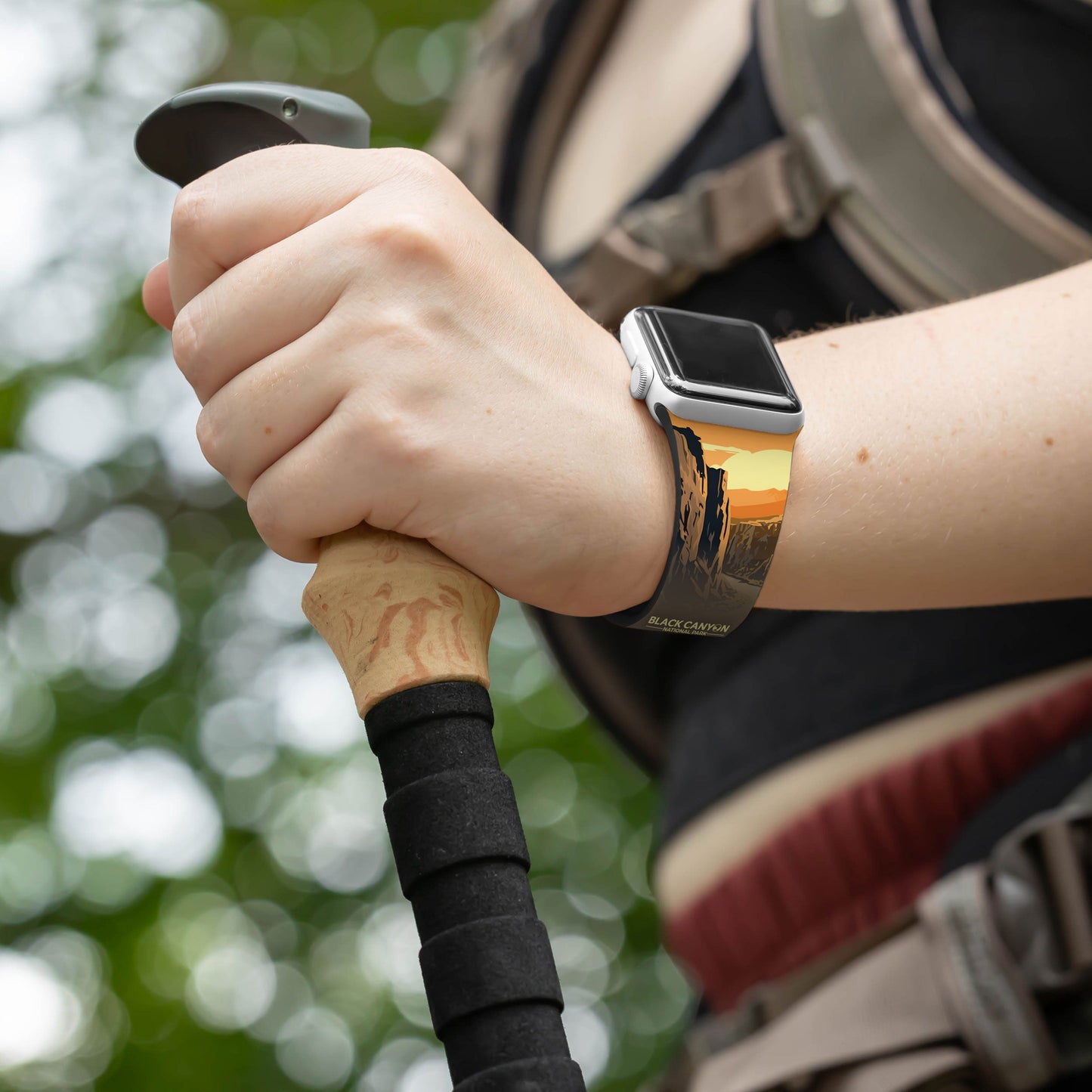 National Parks Black Canyon HD Fitbit Versa 3 & Sense 1 Watch Band