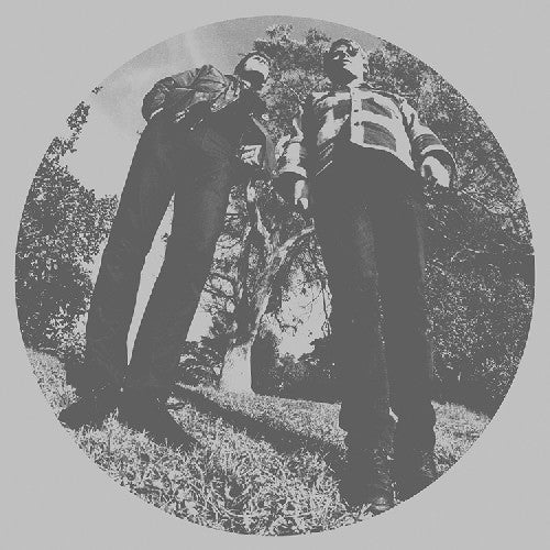 Segall,ty & White Fence - Hair - Vinyl Record