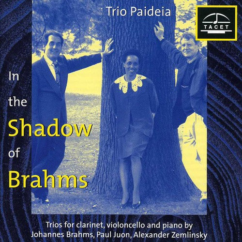 Brahms / Zemlinsky / Juon / Trio Paideia - Im Schatten Von Brahms 1 - Music CD