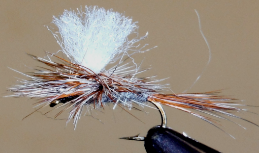 Adams Dry Fly