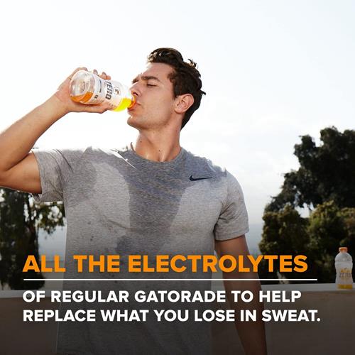 Gatorade Thirst Quencher Zero Sugar Sports Drink, Grape, 12Oz Bottles, 12 Pack, Electrolytes For Rehydration