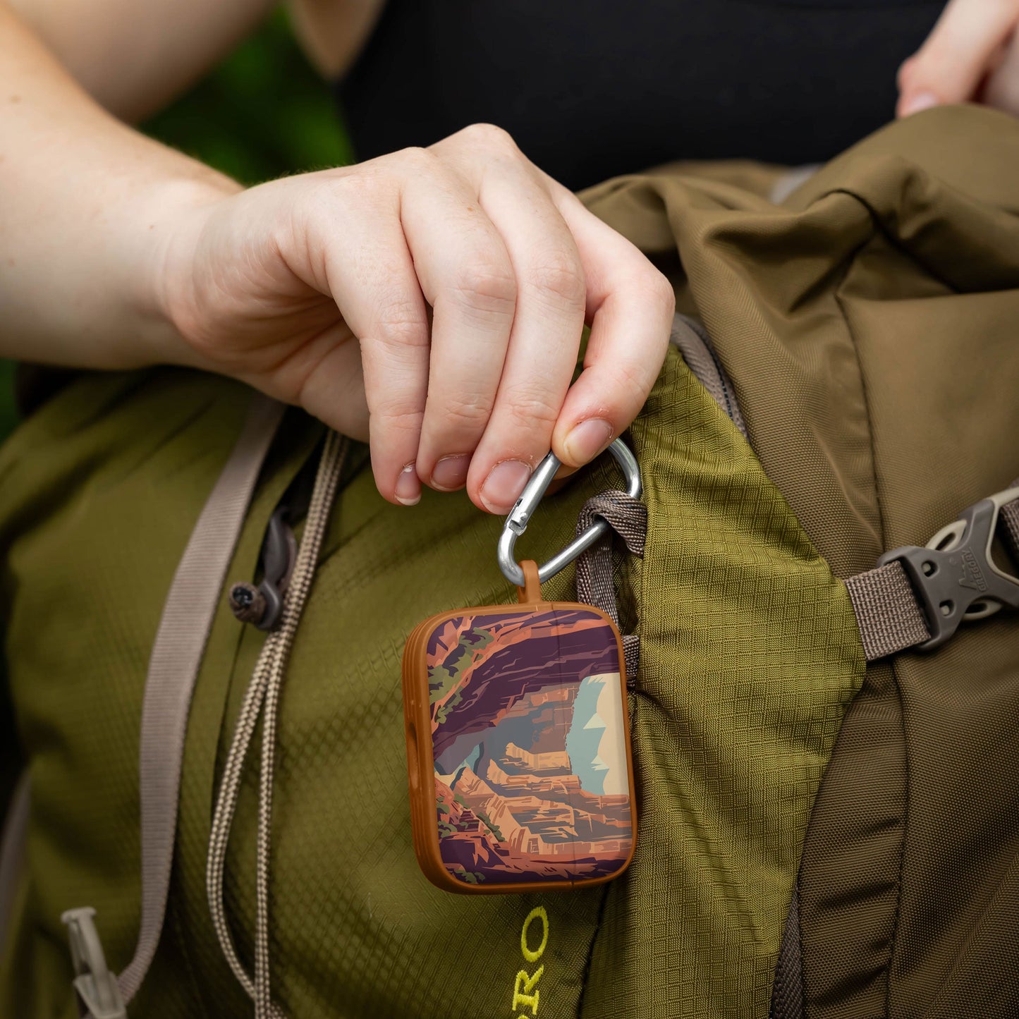 National Parks Grand Canyon HDX Apple Airpods Pro 1 & 2 Case Cover