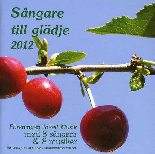 Sangare Till Gladje 2013 / Various - Sangare Till Gladje 2013 / Various - Music CD