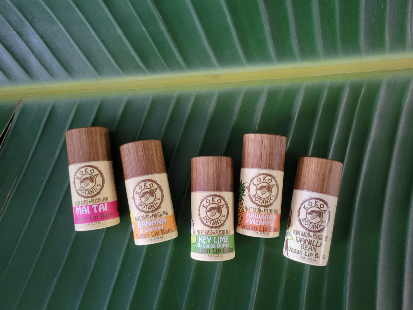 Acai and Coconut - Vegan Natural Lip Balm - Plastic Free .25 oz