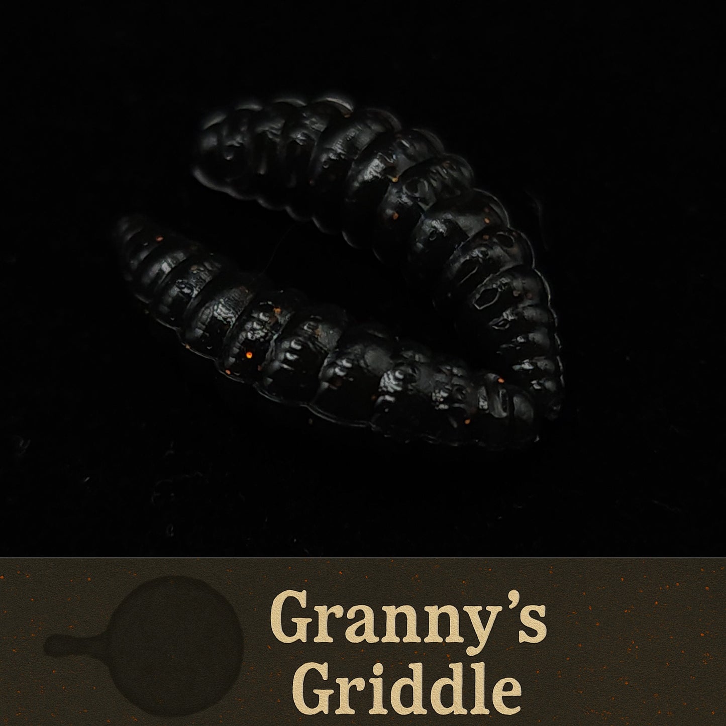 1" Waxworm "The Tater Bug"