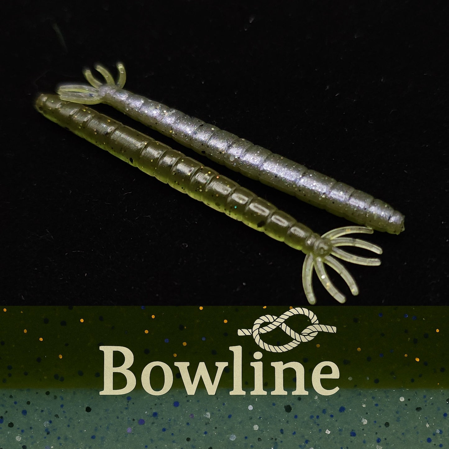 2" Crane Fly Larvae "Don't Touch It!"