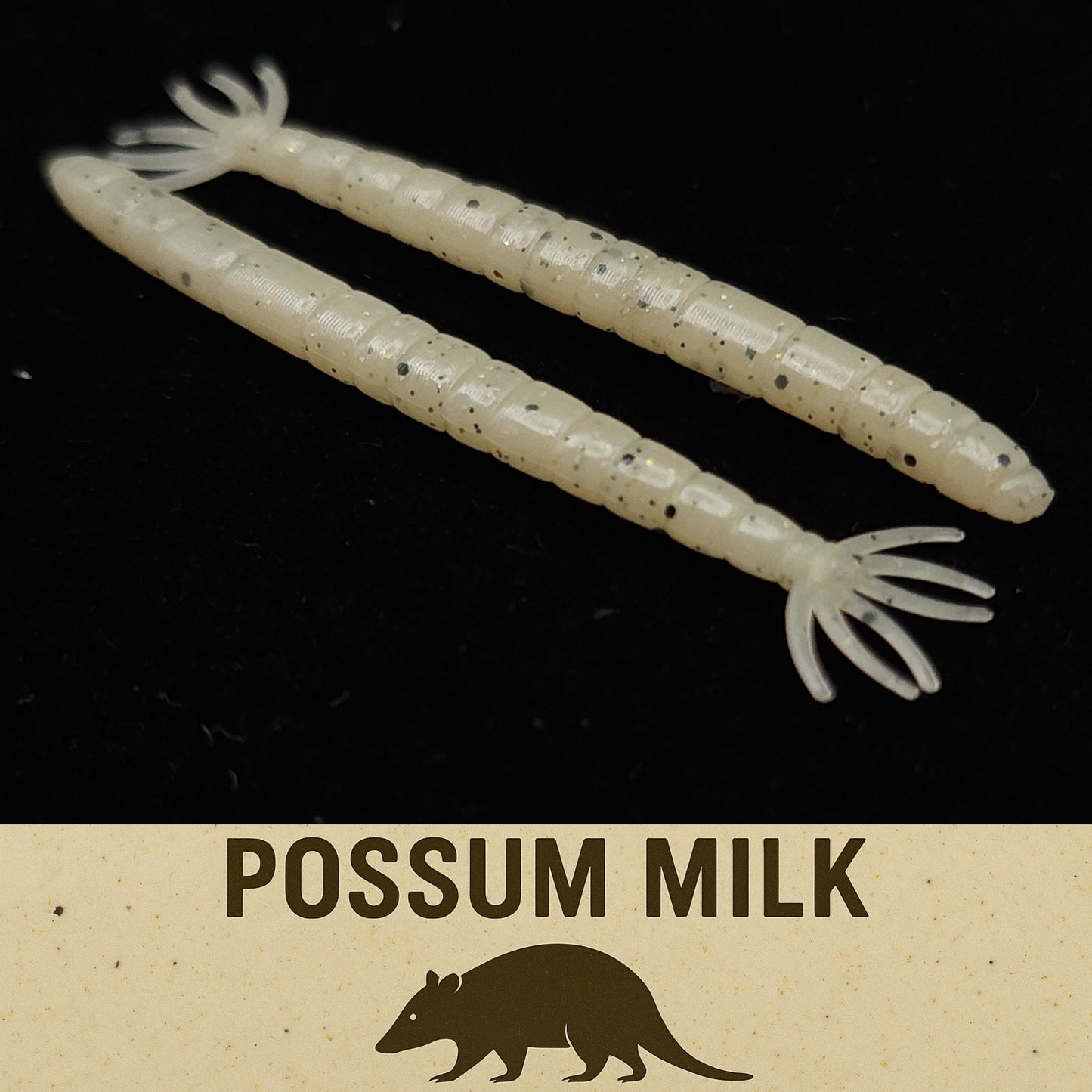 2" Crane Fly Larvae "Don't Touch It!"