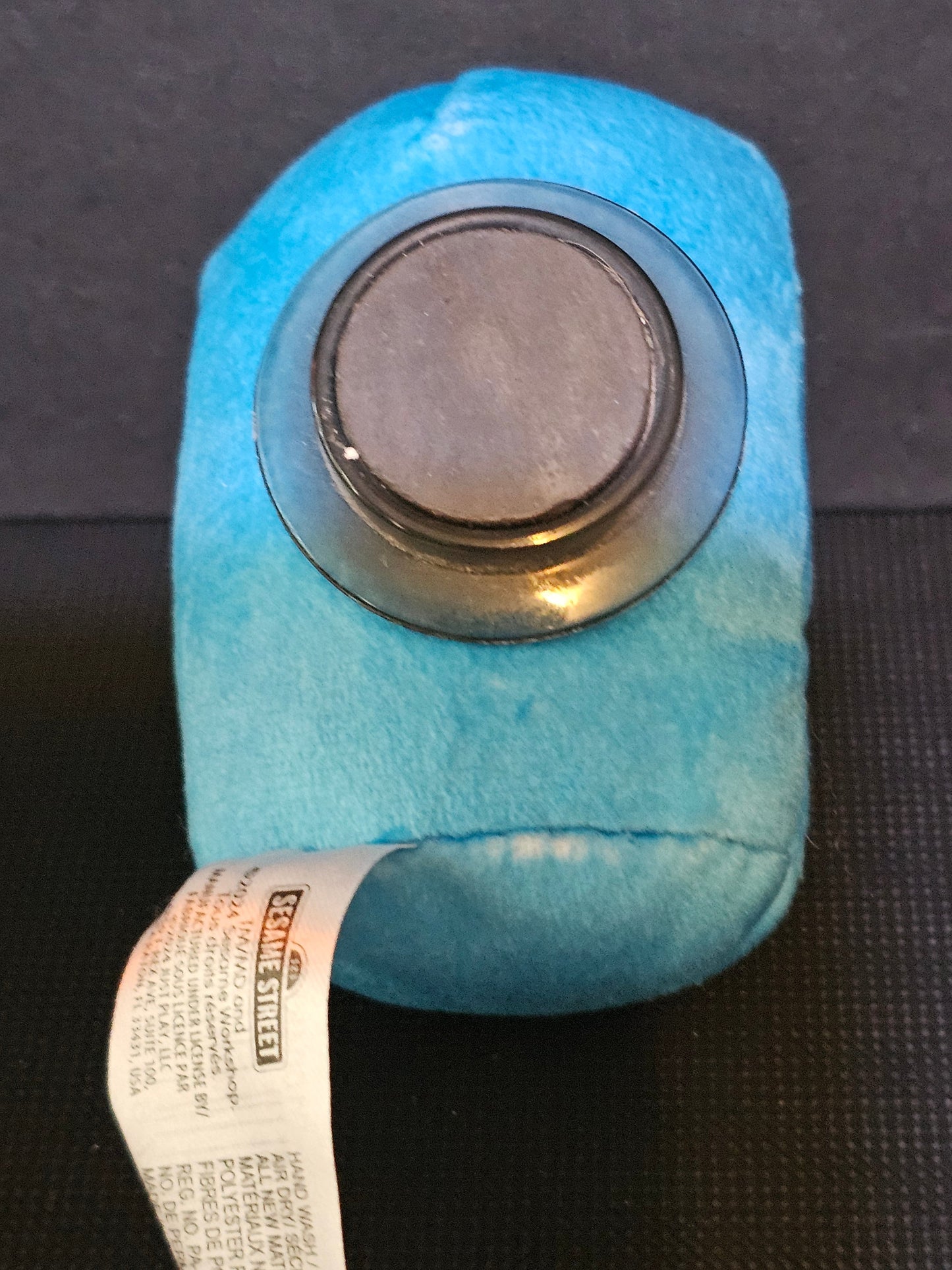 Cookie Monster Magnet