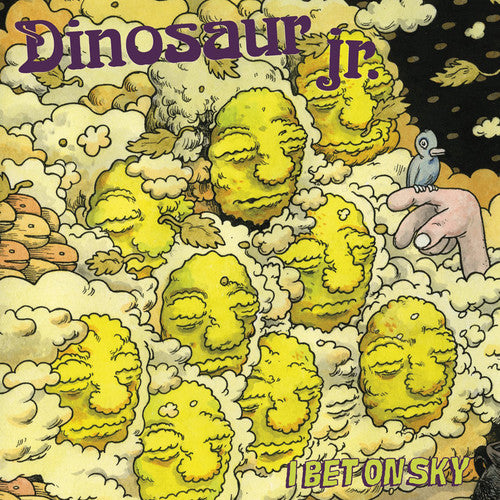 Dinosaur Jr - I Bet On Sky - Music CD