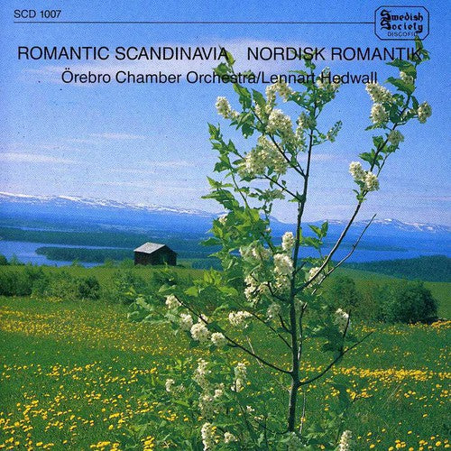 Hedwall / Orebro Chamber Orch - Romantic Scandinavia - Music CD