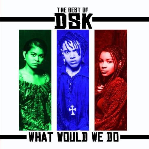 DSK - Best of: What Would We Do Music CD