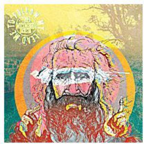 Tequila Mockingbird Orchestra - Follow My Lead Lead Me To Follow - Music CD