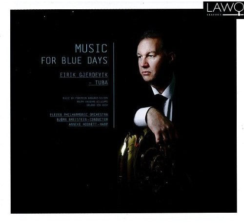 Koch / Gjerdevik / Hodnett - Music For Blue Days - Music CD