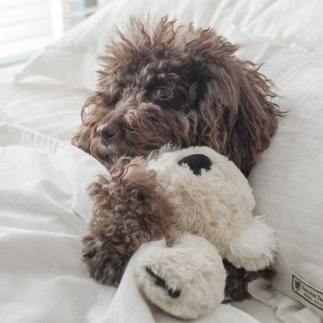 Koko Maxi Plushie - Triathlete Store